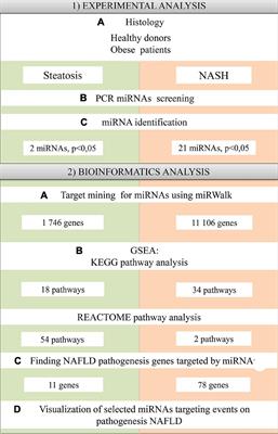 Analysis of miRNAs Profiles in Serum of Patients With Steatosis and Steatohepatitis